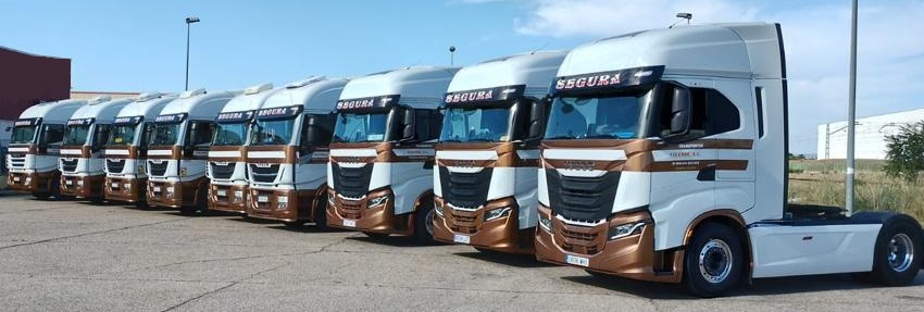 Flota Transportes segura